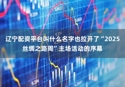 辽宁配资平台叫什么名字也拉开了“2025丝绸之路周”主场活动的序幕