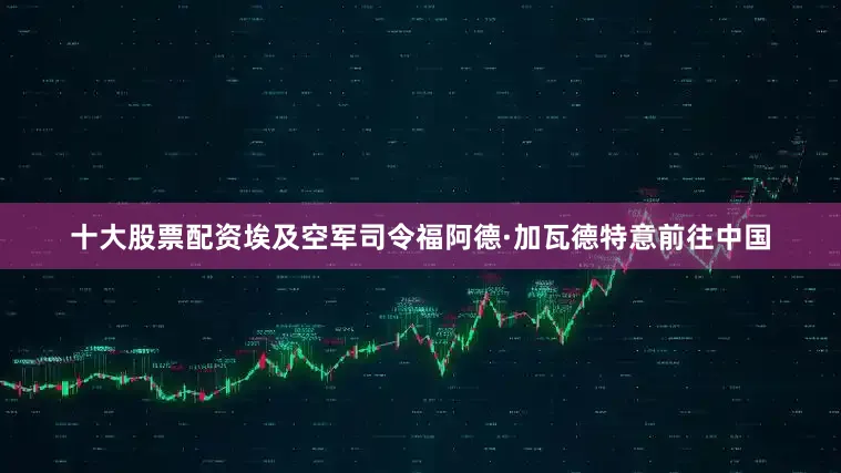 十大股票配资埃及空军司令福阿德·加瓦德特意前往中国