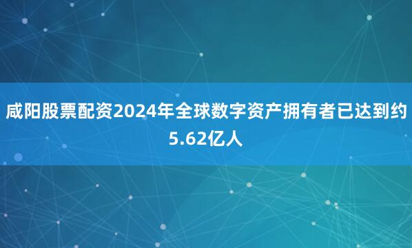 咸阳股票配资2024年全球数字资产拥有者已达到约5.62亿人